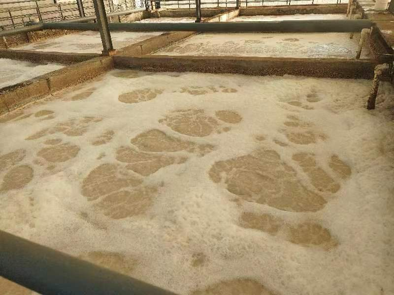 湖北一食品集團公司